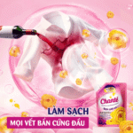 Combo 3 Túi Nước Giặt Xả Chanté Cao Cấp 8 Trong 1 - Ảnh 4
