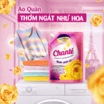 Combo 3 Túi Nước Giặt Xả Chanté Cao Cấp 8 Trong 1 - Ảnh 6